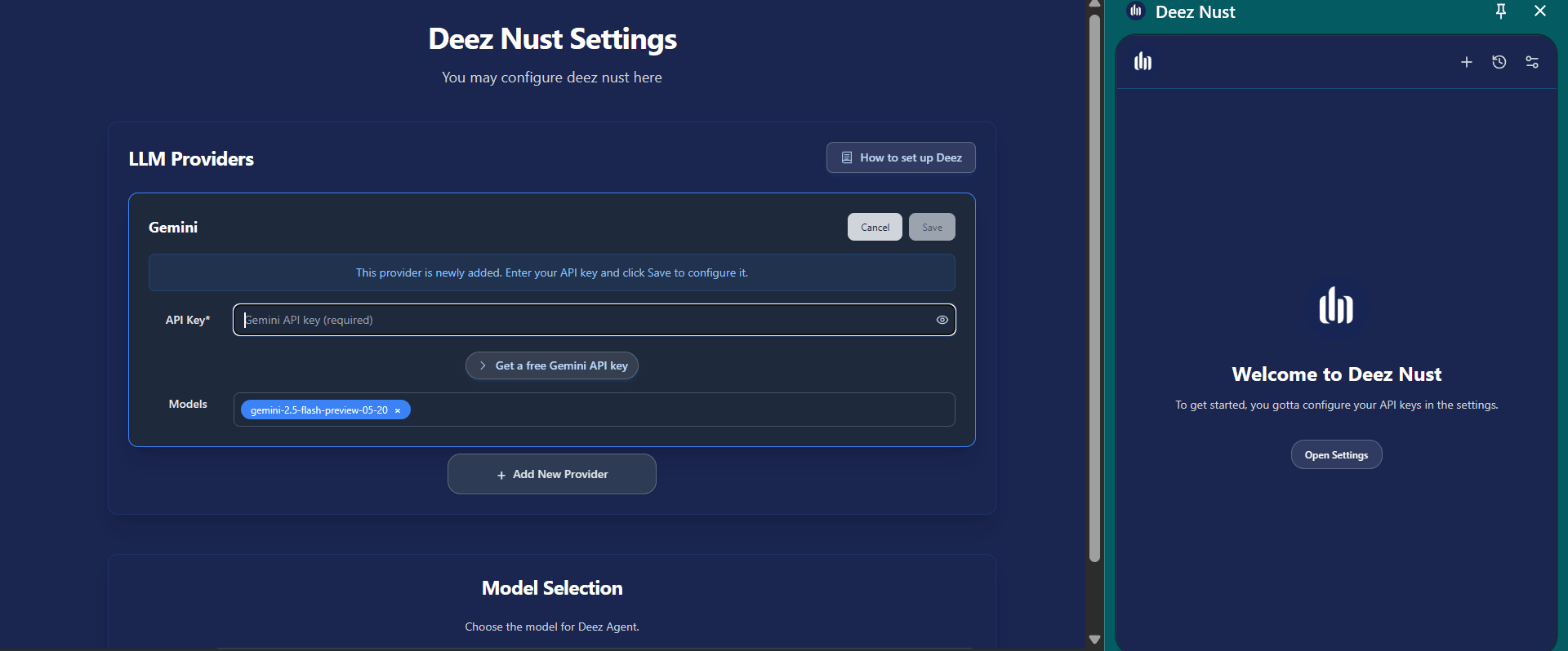 Input field prompting the user to add the Gemini API key